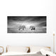 Elephant Wall Decal Panoramic