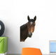 Horse Head Wall Decal