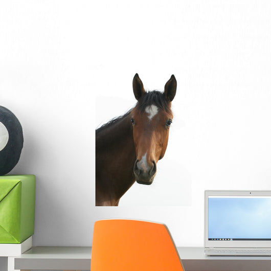 Horse Head Wall Decal