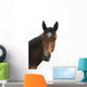 Horse Head Wall Decal