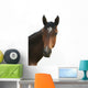 Horse Head Wall Decal