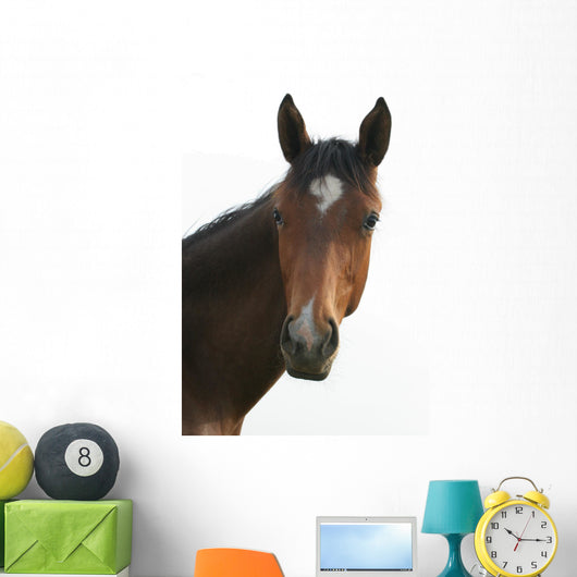 Horse Head Wall Decal