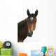 Horse Head Wall Decal