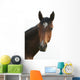 Horse Head Wall Decal