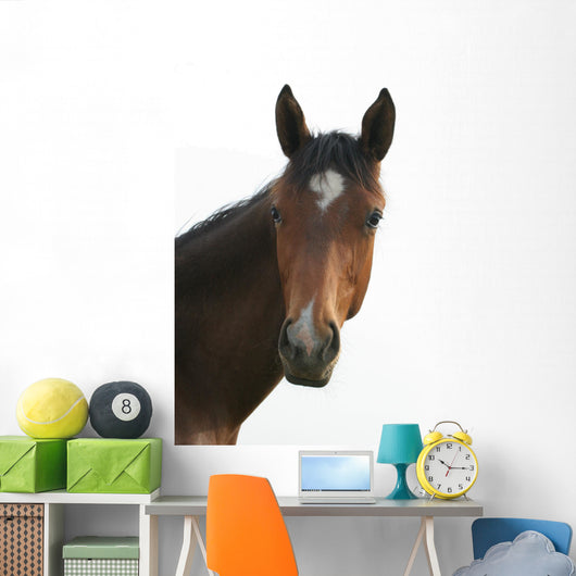 Horse Head Wall Decal