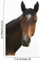 Horse Head Wall Decal