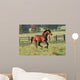 Horses Horse Gallops across Wall Decal