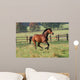 Horses Horse Gallops across Wall Decal