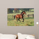 Horses Horse Gallops across Wall Decal