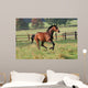 Horses Horse Gallops across Wall Decal