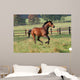 Horses Horse Gallops across Wall Decal