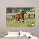 Horses Horse Gallops across Wall Decal