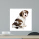 Cute Havanese Puppy Is Wall Decal