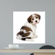 Cute Havanese Puppy Is Wall Decal