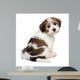 Cute Havanese Puppy Is Wall Decal