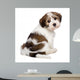 Cute Havanese Puppy Is Wall Decal