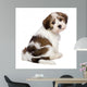 Cute Havanese Puppy Is Wall Decal