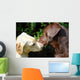 kissing dogs Wall Mural