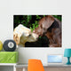 kissing dogs Wall Mural