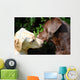kissing dogs Wall Mural