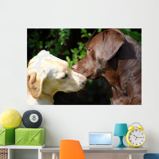 kissing dogs Wall Mural