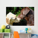 kissing dogs Wall Mural
