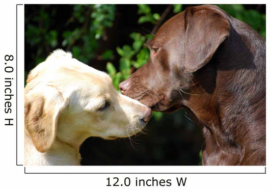 kissing dogs Wall Mural