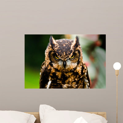 Owl Wall Decal shown on a wall