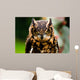 Owl Wall Mural