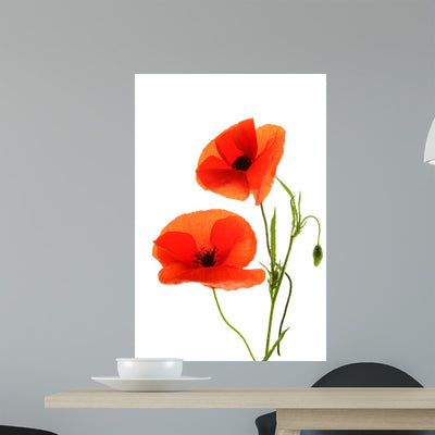 Red Poppies Wall Decal shown on a wall