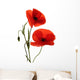 Red Poppy Flowers Wall Decal