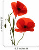 Red Poppy Flowers Wall Decal