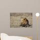 Portrait Of A Wild African Lion Wall Decal