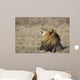 Portrait of a wild african lion Wall Mural