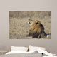 Portrait of a wild african lion Wall Mural