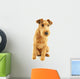Purebred dog Irish Terrier Wall Decal