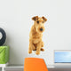 Purebred dog Irish Terrier Wall Decal