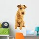 Purebred dog Irish Terrier Wall Decal