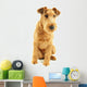 Purebred dog Irish Terrier Wall Decal