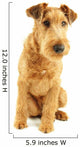 Purebred dog Irish Terrier Wall Decal