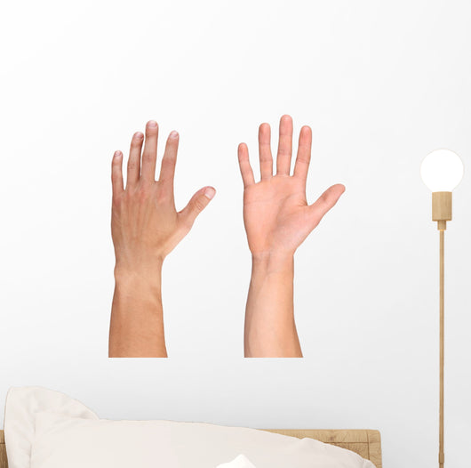 Men hand isolated on white Wall Decal