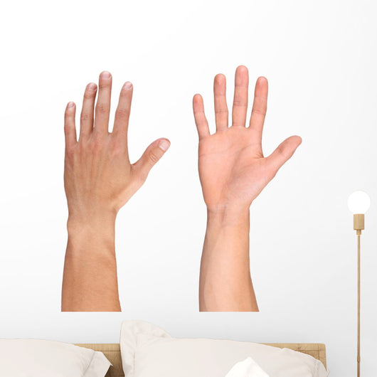 Men hand isolated on white Wall Decal