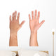 Men hand isolated on white Wall Decal