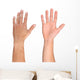 Men hand isolated on white Wall Decal