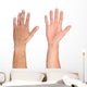 Men hand isolated on white Wall Decal