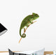 Beautiful Baby Chameleon As Exotic Pet, Narrow Focus On Eyes Wall Decal 2