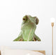 Beautiful Baby Chameleon As Exotic Pet, Narrow Focus On Eyes Wall Decal