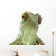 Beautiful baby chameleon as exotic pet, narrow focus on eyes Wall Decal