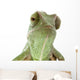 Beautiful baby chameleon as exotic pet, narrow focus on eyes Wall Decal