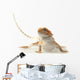Pet lizard Bearded Dragon isolated on white, narrow focus Wall Decal